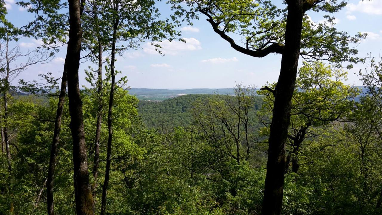 Hotel Am Schwanberg Rödelsee Eksteriør bilde